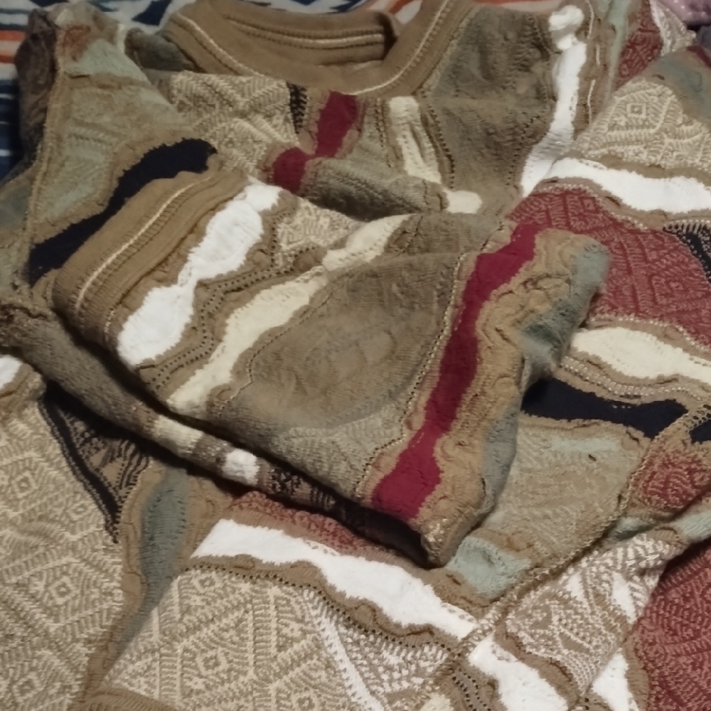 COOGI Men's Earth Tone Crewneck Sweater